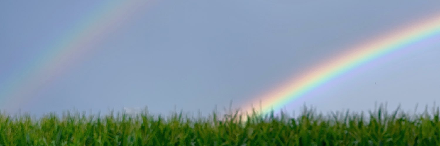 SandraWyman7's profile banner image