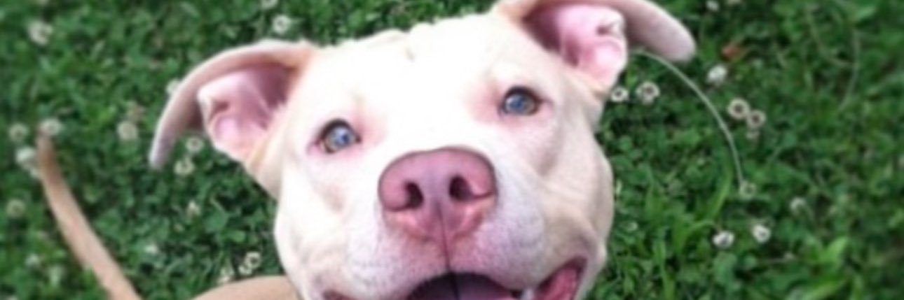 Titi Erin banner