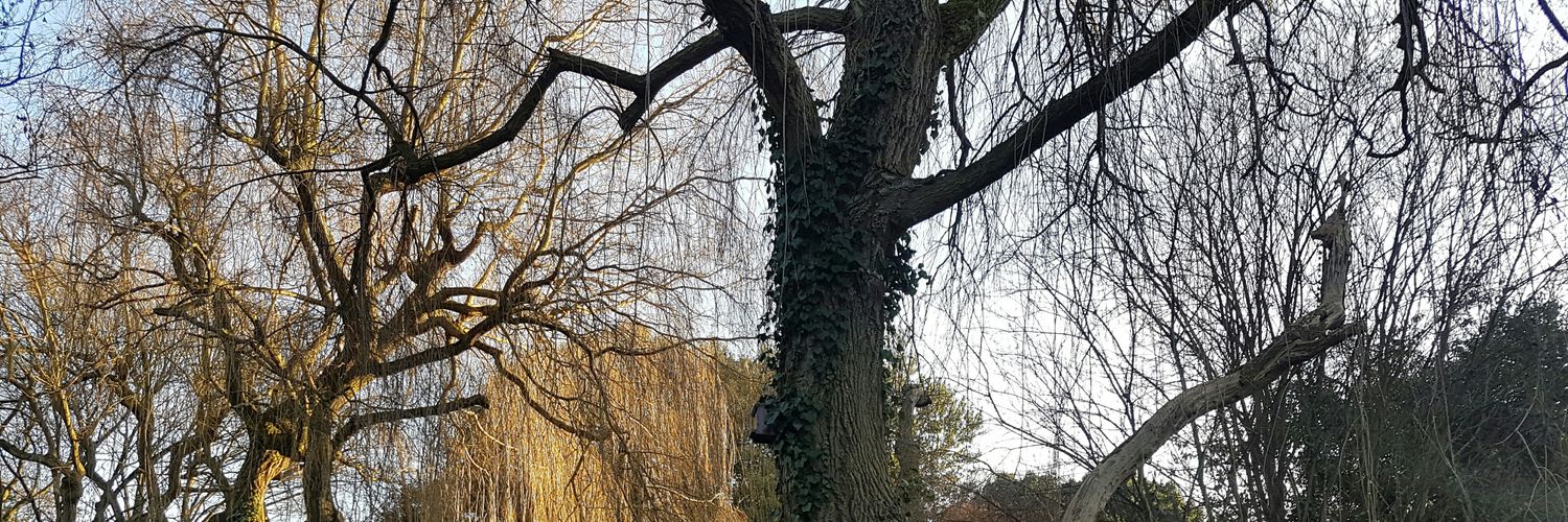 NothingBabikir's profile banner image