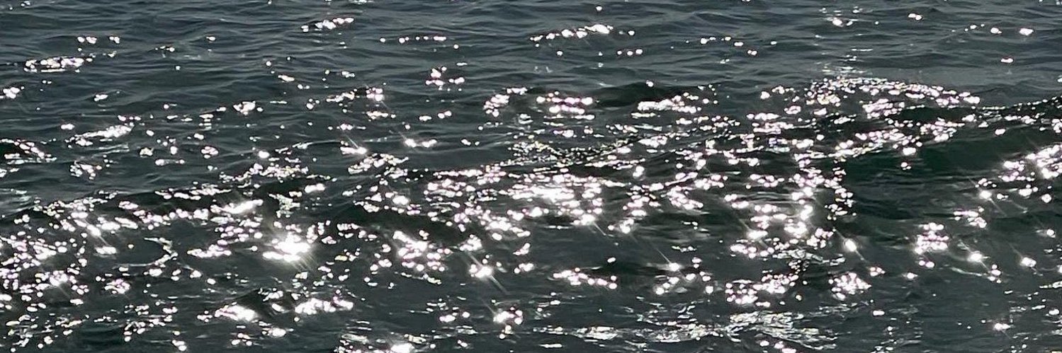 beyondmi*♡ banner