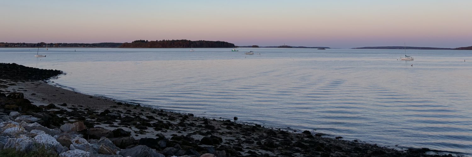 Sofia Sepúlveda J. banner