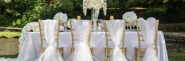 SatinChair Profile Banner