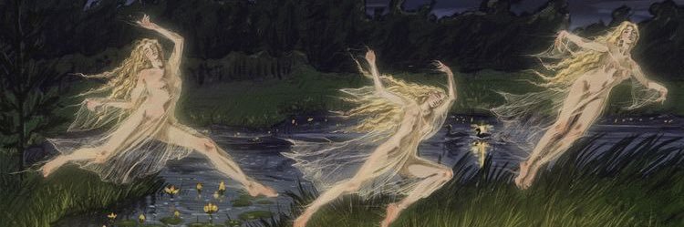 stephncb's profile banner image