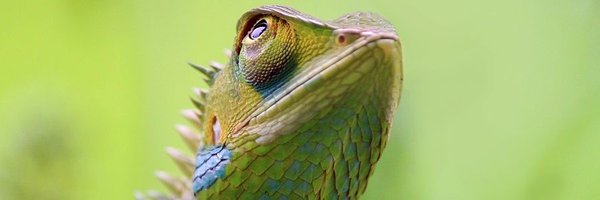 ProfeHumanista Profile Banner