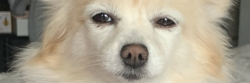 SuziBeriisha's profile banner image
