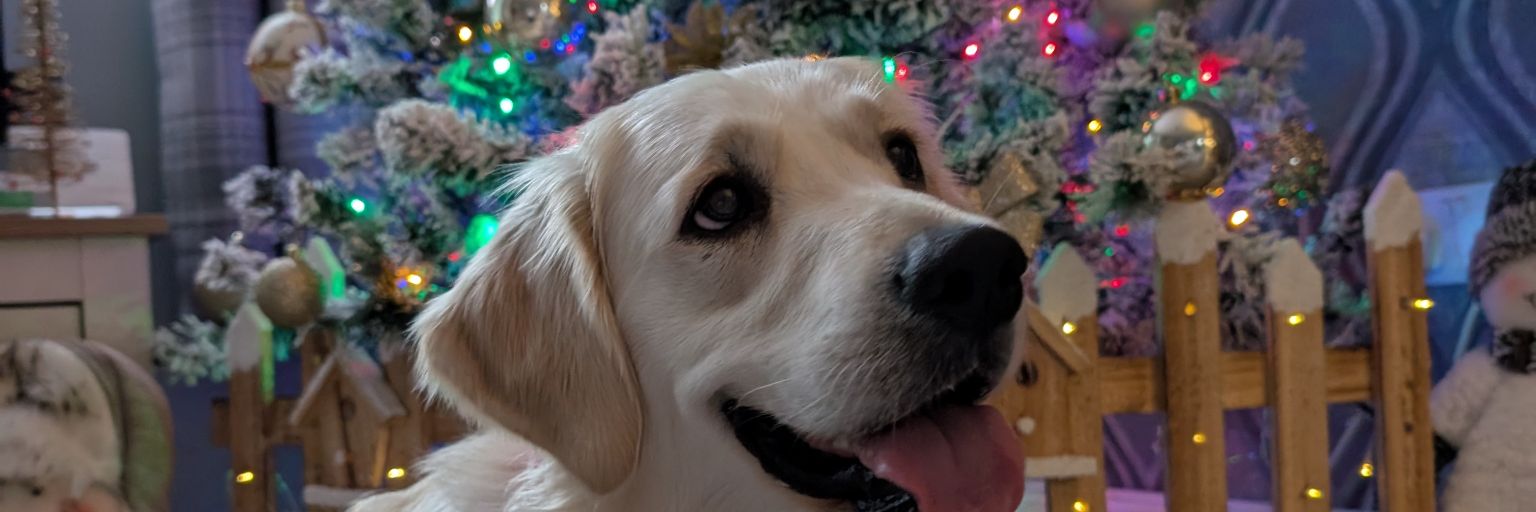 ItsMikeEardley's profile banner image