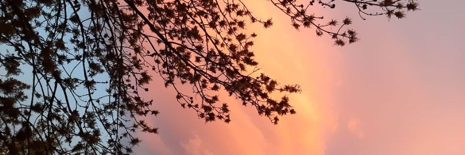 rebbcn's profile banner image