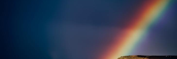 Michal_Sestero Profile Banner