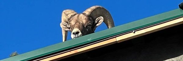 CSU_JMC Profile Banner