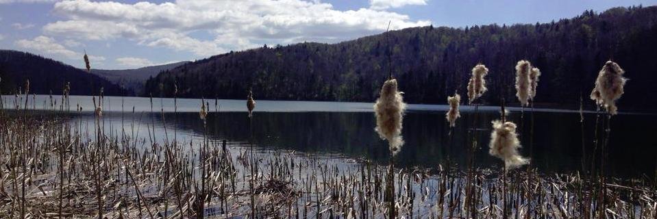 SloopDr's profile banner image