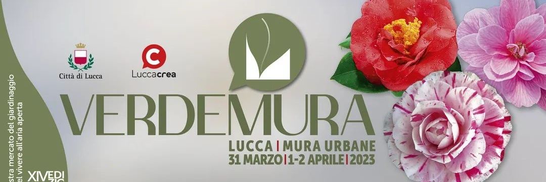 Verdemura's profile banner image