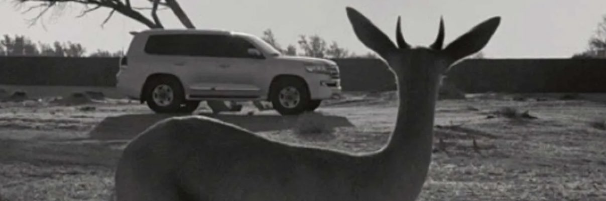 aneG_87's profile banner image
