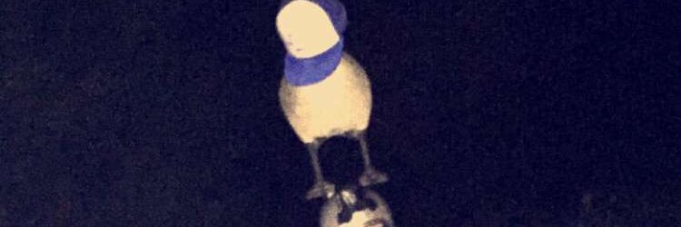 tyler_senger's profile banner image