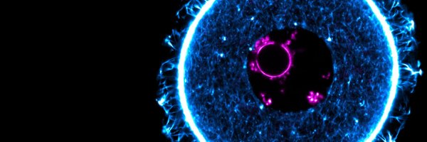 SchuhLab Profile Banner