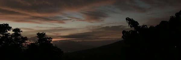 lifewithxjo Profile Banner