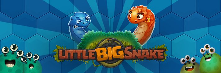 Little Big Snake banner