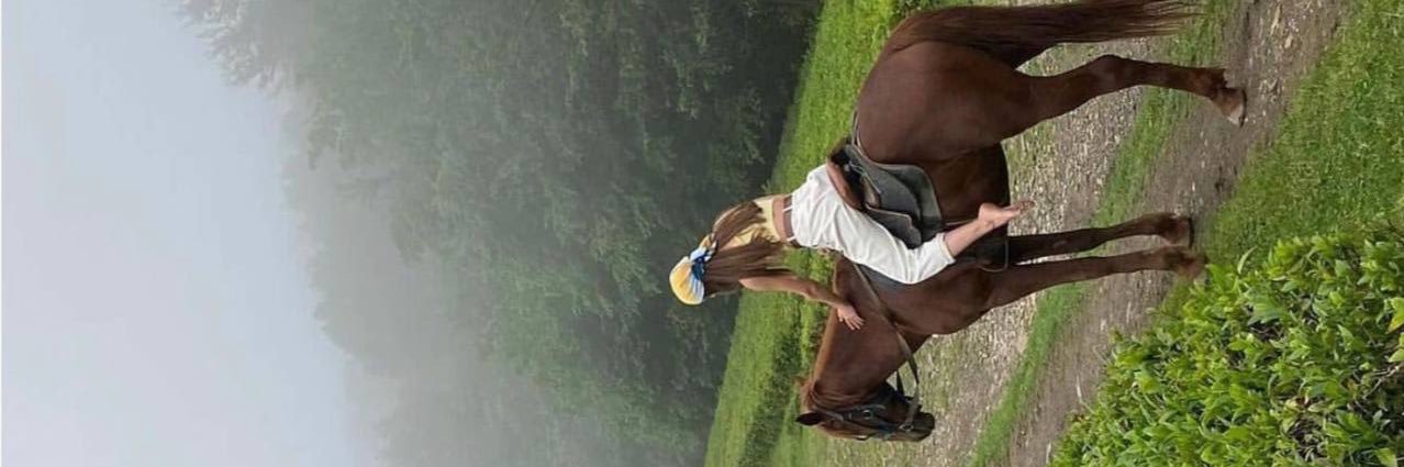 🎄*-* مادیس چشم عسلی *-*🎄 banner