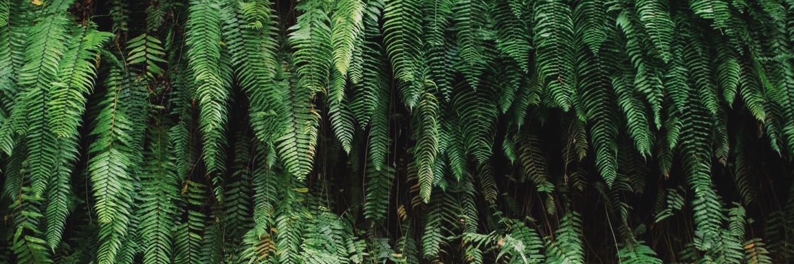 twilson1016's profile banner image
