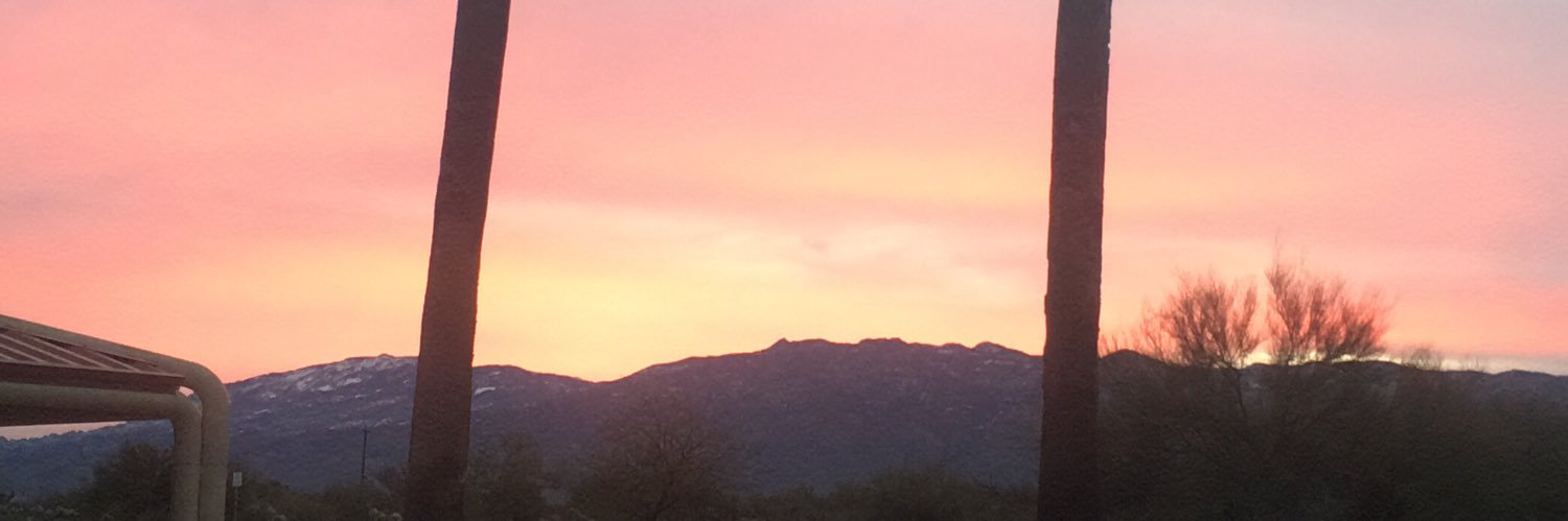 carlyrain2's profile banner image