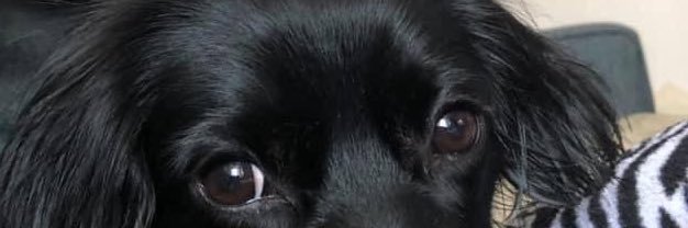 jmoverbay's profile banner image