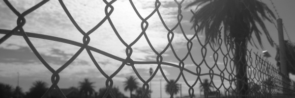 DiLewis25 Profile Banner