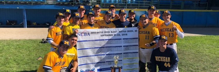 UMich Club Baseball banner
