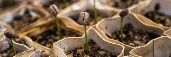 seed_coin Profile Banner