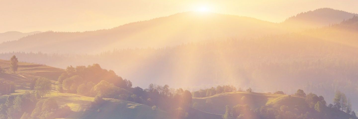 tonyosheapoon's profile banner image