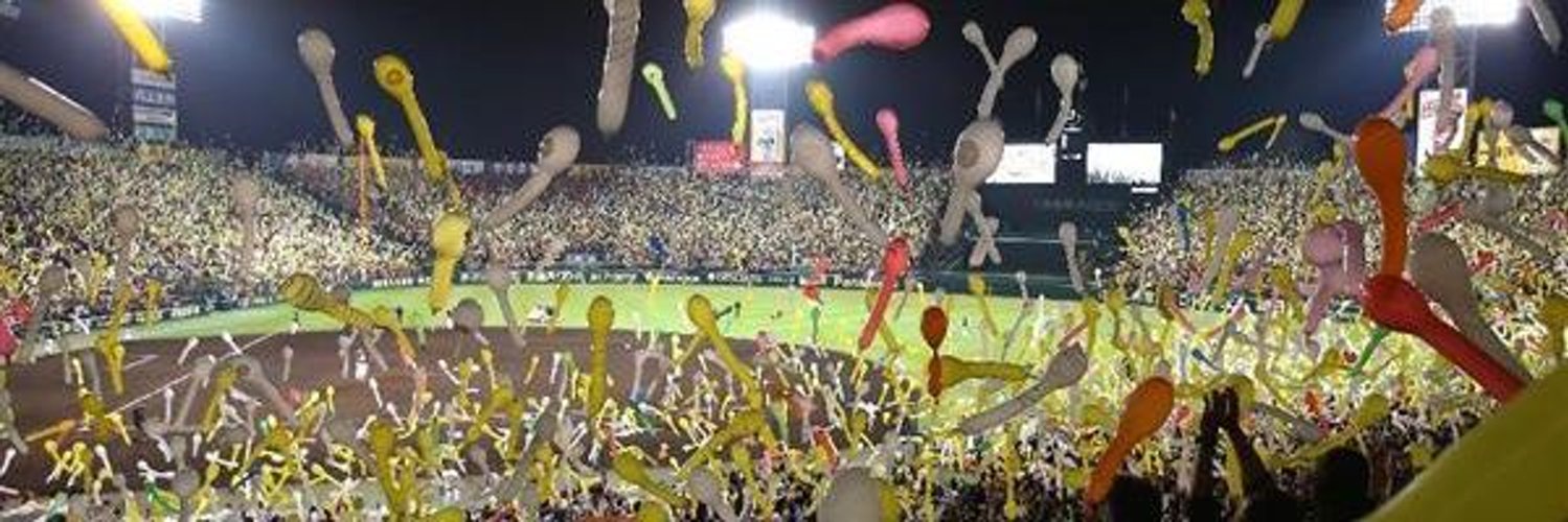 とら🐯 banner