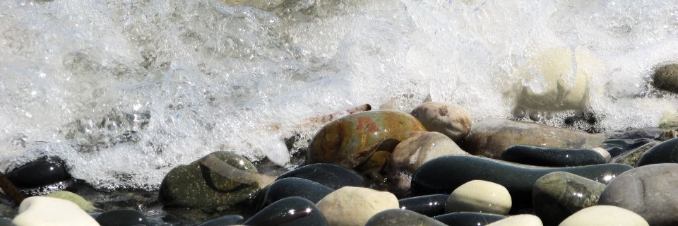 RealyCreation's profile banner image