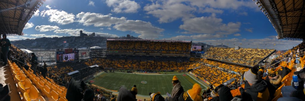 Alex Williams banner