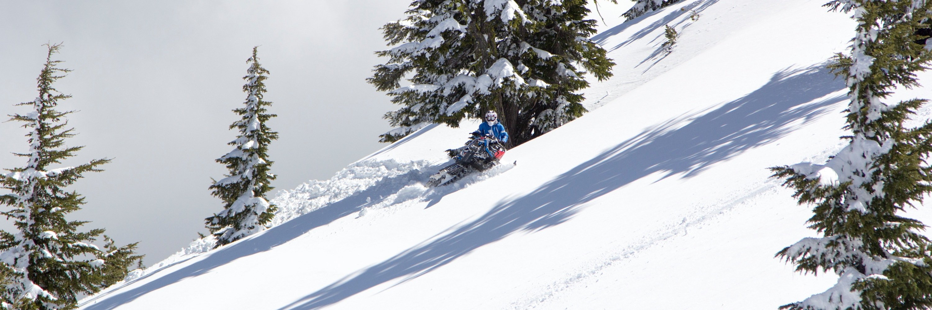 NWSledder's profile banner image