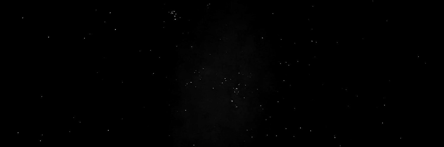 Dann banner