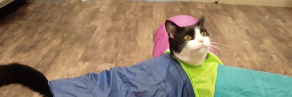 PcolaAzian Profile Banner