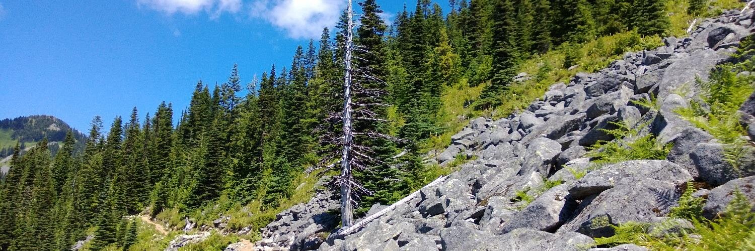 Brandon Paddock banner