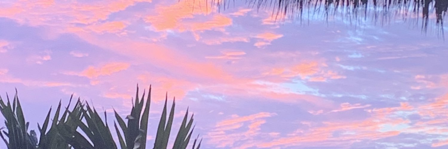annacj514's profile banner image