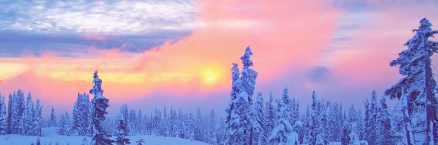 Maria_Brooks16's profile banner image