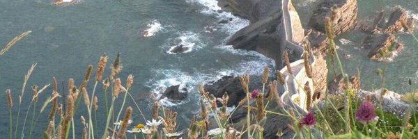 Lauragarcif Profile Banner