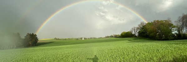 Traidl_Hoffmann Profile Banner