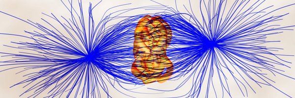 GorbskyLab Profile Banner