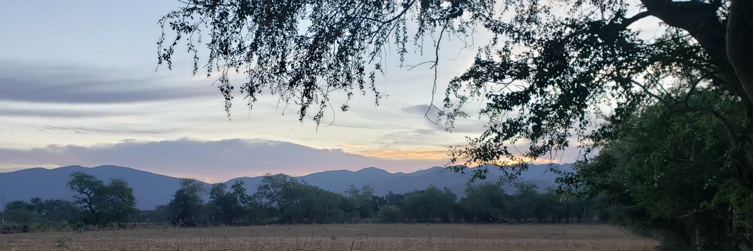 ulises_allen's profile banner image