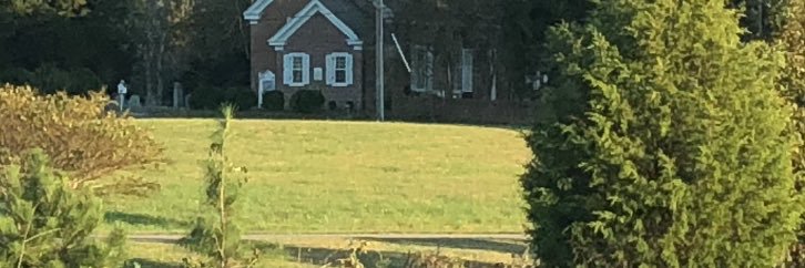 tylerrlangley's profile banner image
