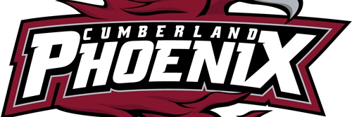 Cumberland University Men's Basketball banner
