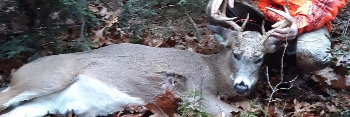 WhitetailArmory's profile banner image