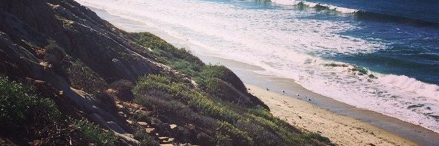 tammycatania's profile banner image