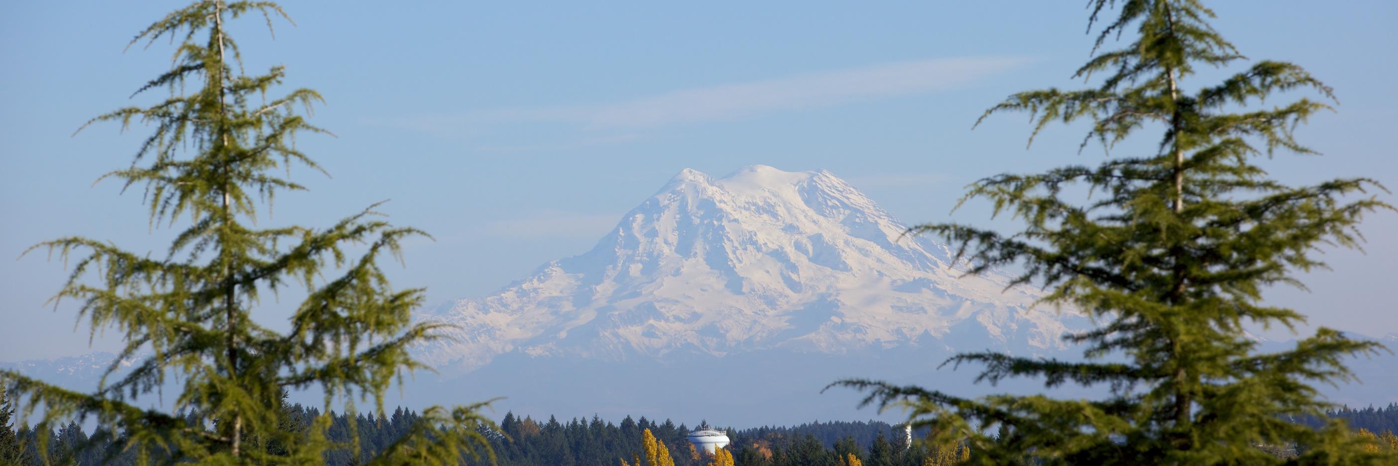 SMU_JBLM's profile banner image