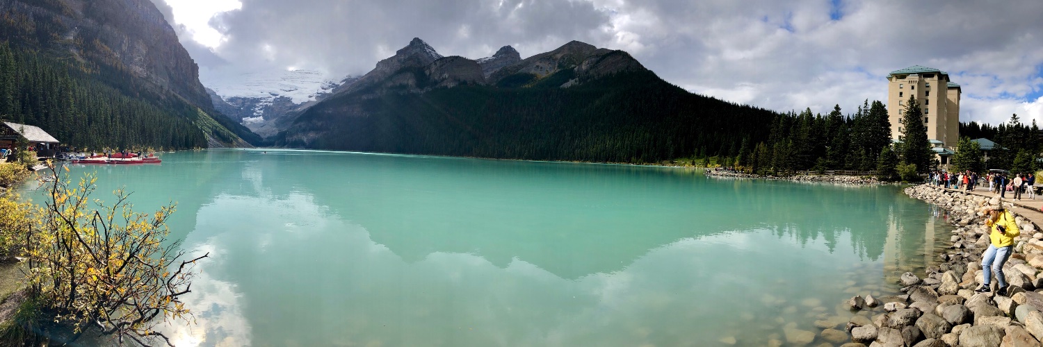 Matthew Service banner