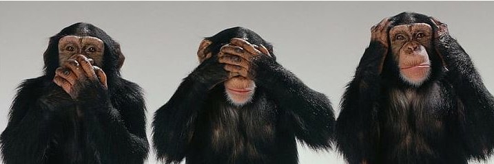 CryptoMonkey (Ø,G) banner