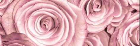 AkiToYourHeart's profile banner image