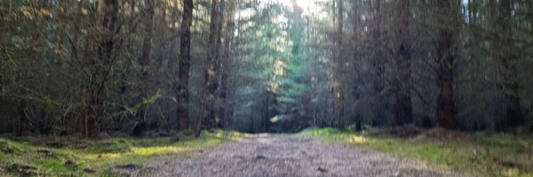 RespectIsVital Profile Banner